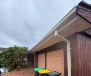 Gutter Works - Inner West