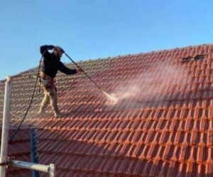 Roof Cleaning