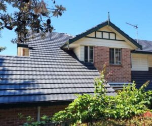 Roof Cleaning