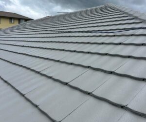 Roof painting Inner West Sydney