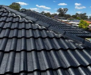 Roof painting Inner West Sydney