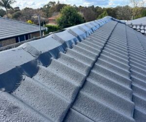 Roof painting Inner West Sydney