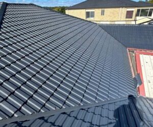 Roof painting Inner West Sydney