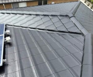 Roof painting Inner West Sydney
