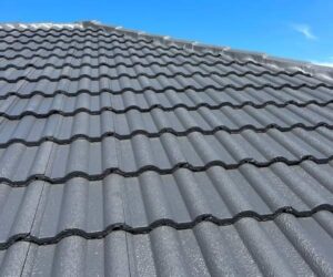 Roof painting Inner West Sydney