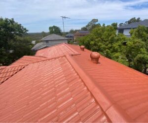 Roofing Inner West