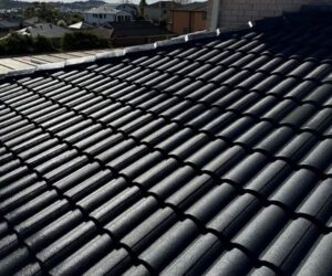 Tile Roofers - Inner West Sydney