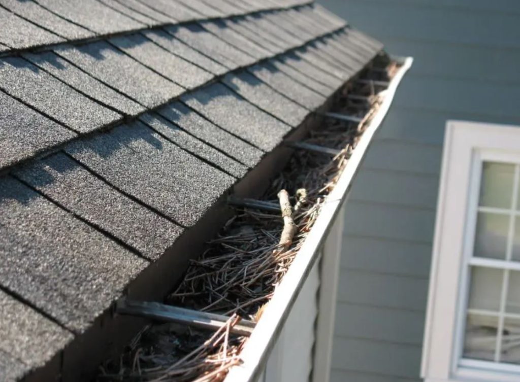 Gutter Cleaning